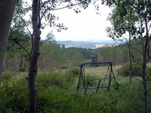 Views from small cabin lot