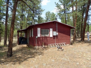 One cabin on the Lake George lot
