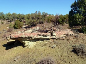 Red fire retardant paints some rocks