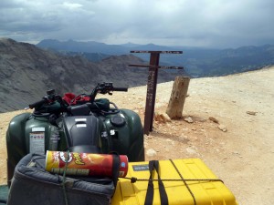The Griz at Top of Imogene Pass