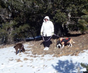 Pam and the dogs near Pam's Pavilion Point.