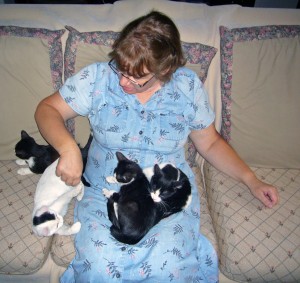 Pam with a batch of foster kittens.