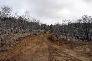 Finished drive entrance.