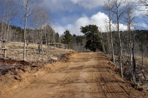 Midway up drive heading to the curve.