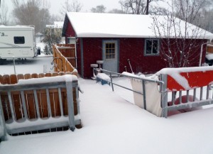 Back deck, Tuesday morning