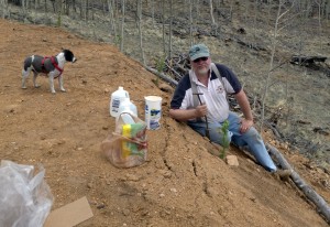 Jerry planing a Douglas Fir start.