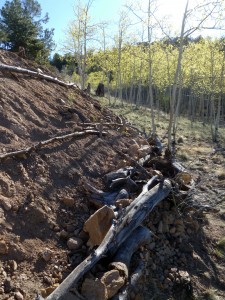 Terraces in place