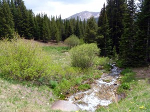 One of several streams crossed on the Boreas Pass route
