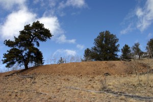 Driveway slope after construction