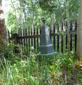Child's grave with blooming columbine.