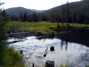 Lower end of the Middle Fork of the Swan River