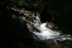 Middle Fork, Swan River