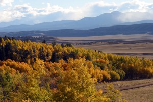 Sweep of color down to South park
