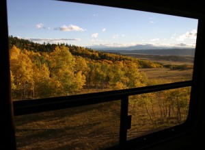 View from RV trailer main window