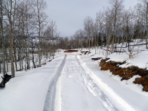 Looking back down driveway, 2-15-14.