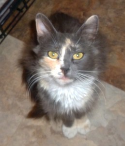 Isadora, AKA Izzy