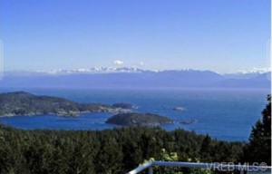 Strait of Juan de Fuca  from dream house. Pam loves the water views.