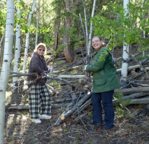 Pam and Felicity clearing dead wood