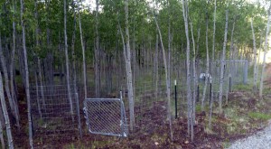 Installing the gate