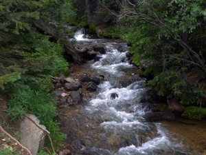 Middle Fork, Swan River