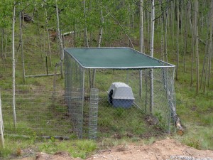 Shade cover keeps the dogs cool on sunny days