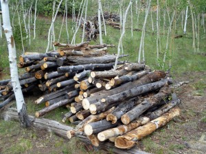 Firewood (foreground) and a pile of burn-pit wood (background)