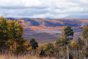 Rieneker Ridge 