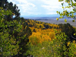 View over South park