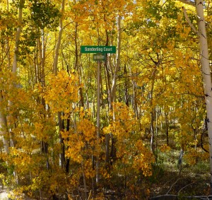 Turn right for Sanderling Court