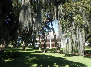 Front yard of Houmas House