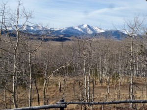 Bare trees and snow-capped peaks = winter