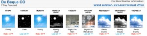 7-day forecast