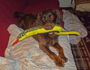 Jo on her 4th birthday