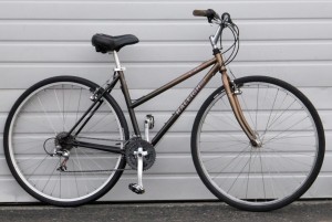 My bike is a Raleigh C40 (Web photo)