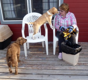 Pam cleaning old Tonka toys