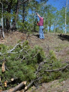 Jerry working the pruner behind a pile of snapped-off tree limbs