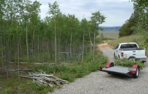 Car port will be the newly cleared area left of trailer