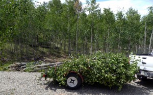 New trailer loaded with burn pit wood