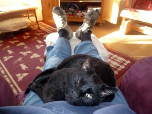 Soot on Jerry's lap